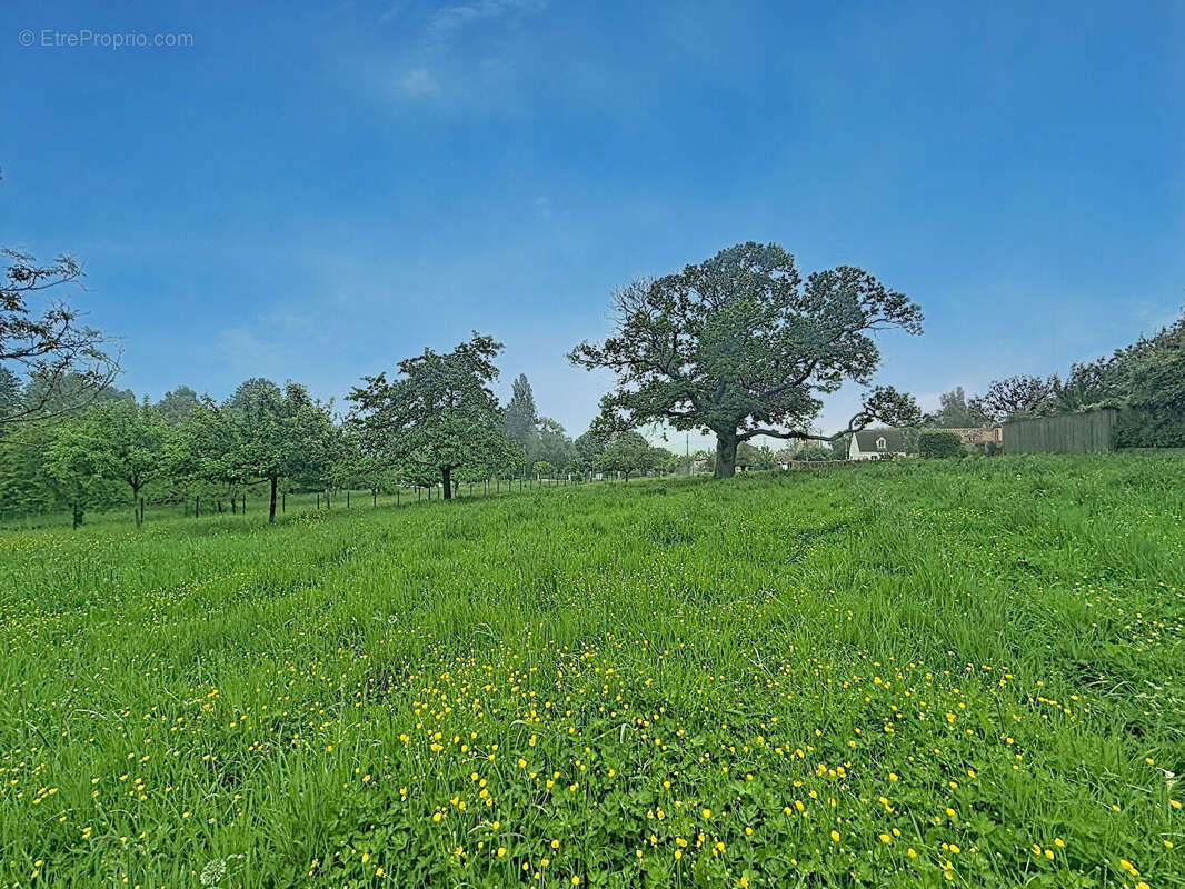 Terrain à JOUARS-PONTCHARTRAIN