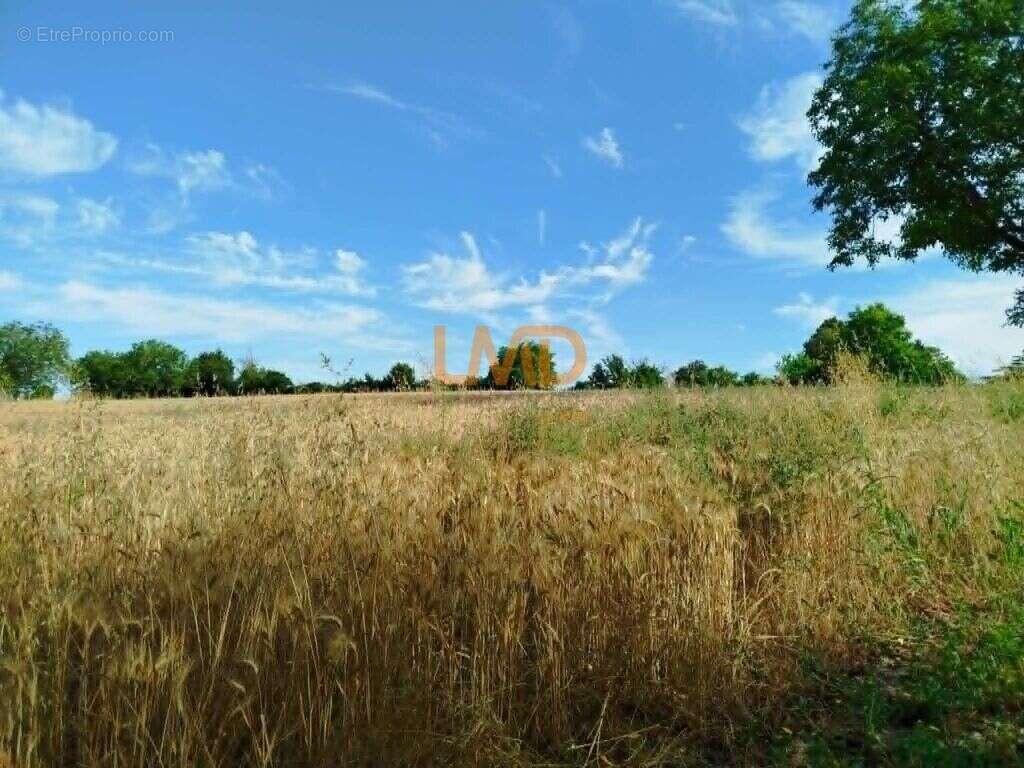 Terrain naturel 5 297 m² à Martizay – 2 €/m² – Idéal loisirs & n - photo 4