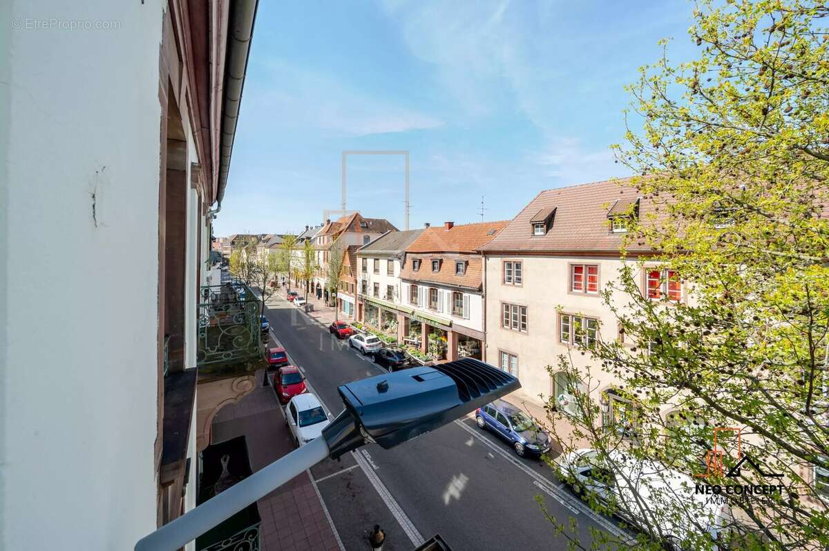 Commerce à HAGUENAU