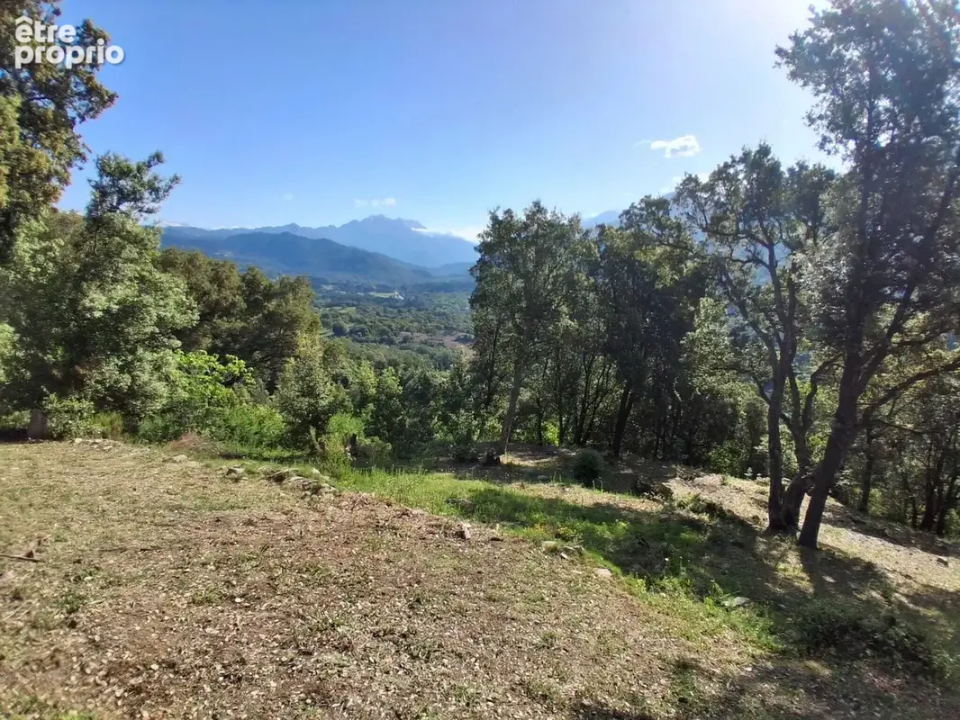 Terrain à TAVACO