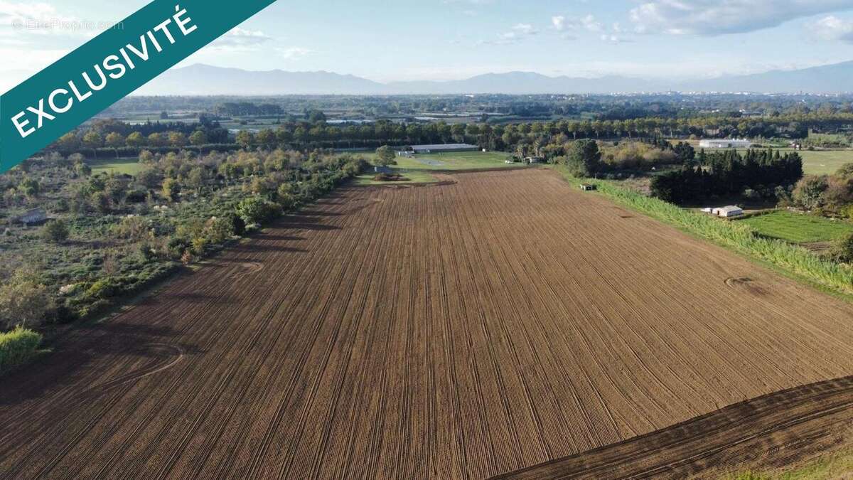 Photo 6 - Commerce à VILLELONGUE-DE-LA-SALANQUE