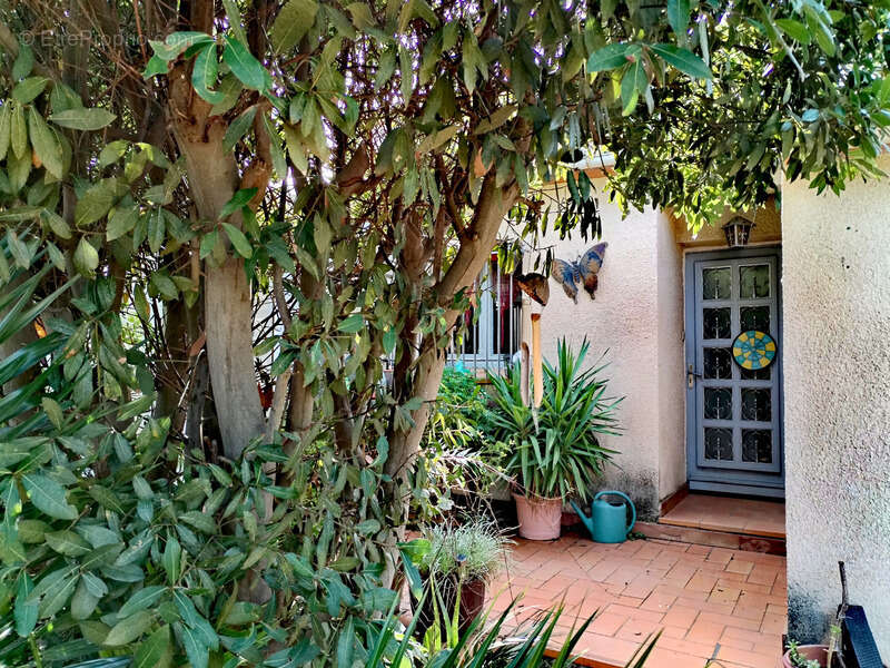 Maison à CANET-EN-ROUSSILLON