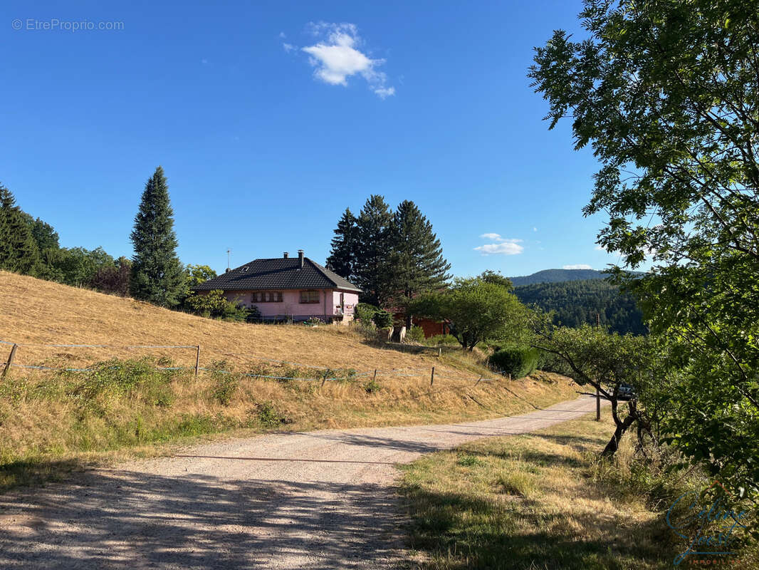 Maison à RIBEAUVILLE