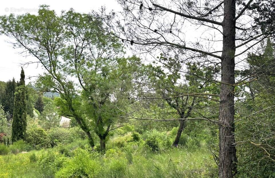 Terrain à AIX-EN-PROVENCE