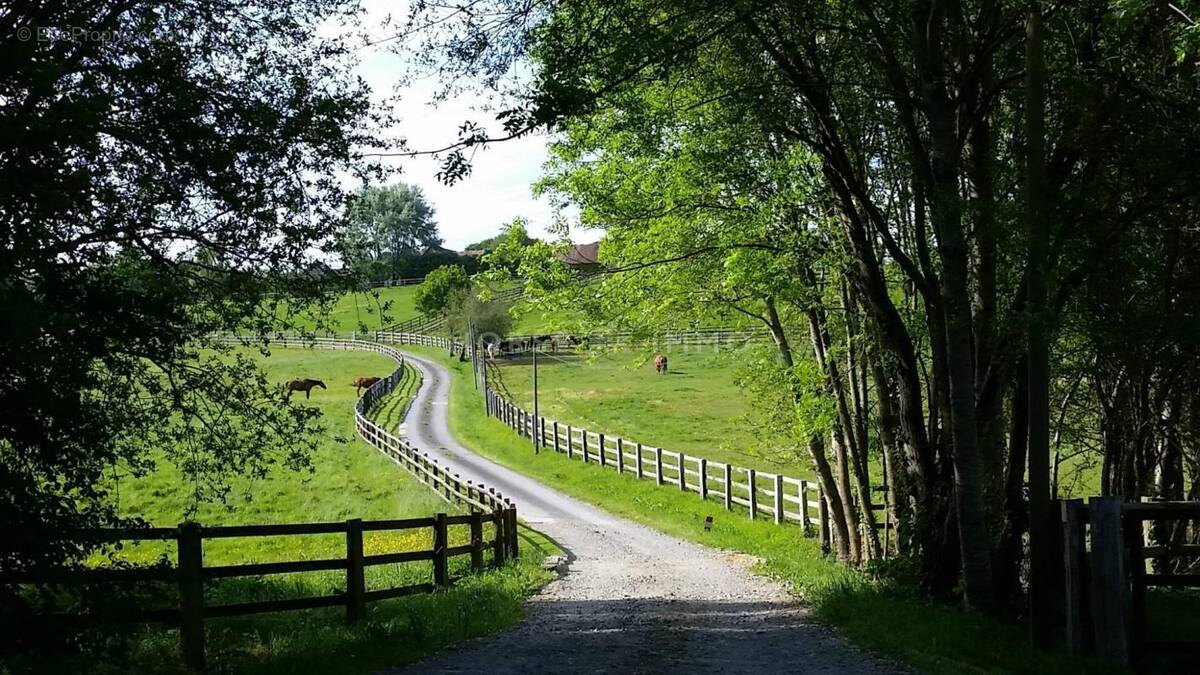Maison à SAINT-GERMAIN-DE-LA-COUDRE