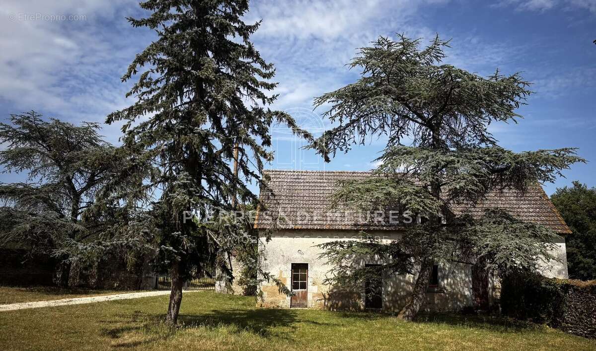 Maison à NEUILLAY-LES-BOIS