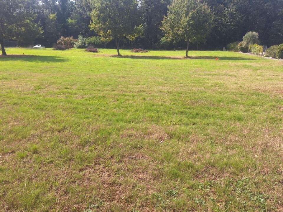 Terrain à BRAX
