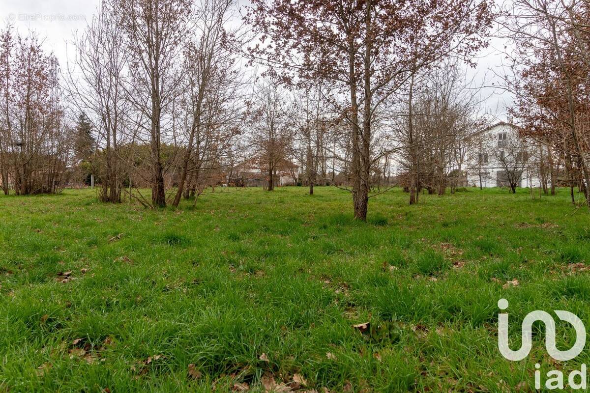 Photo 1 - Terrain à MONTAUBAN