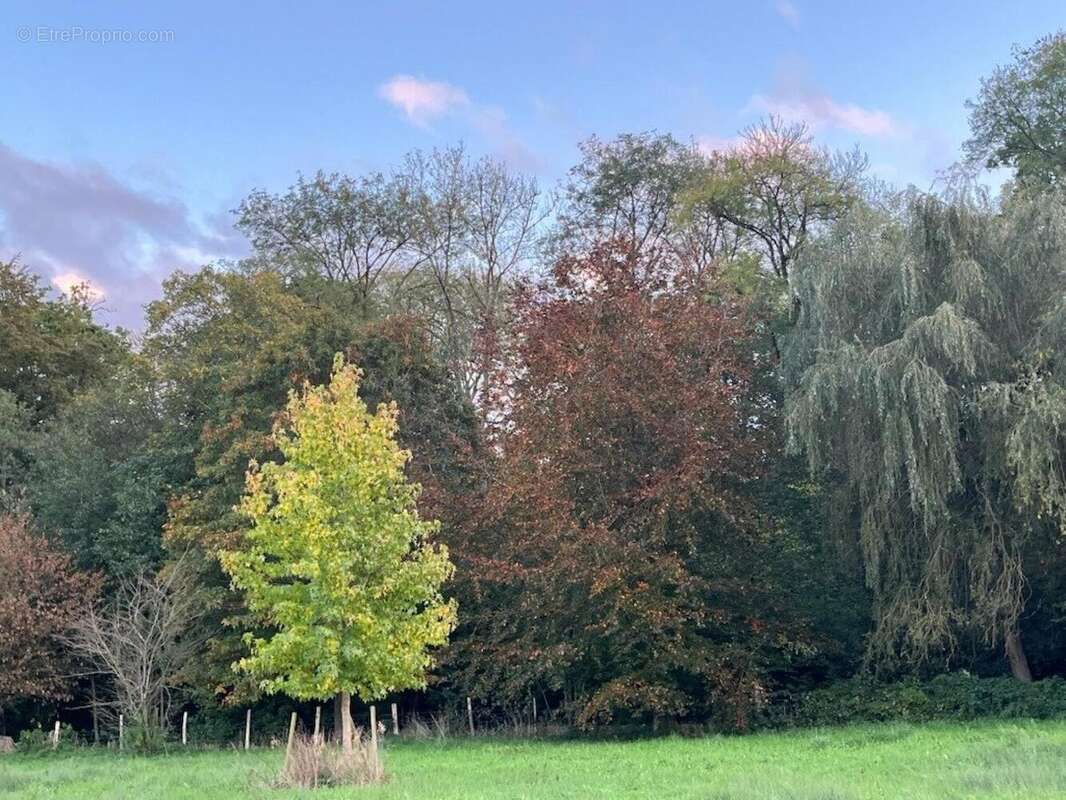 Photo 3 - Maison à LA BIGNE