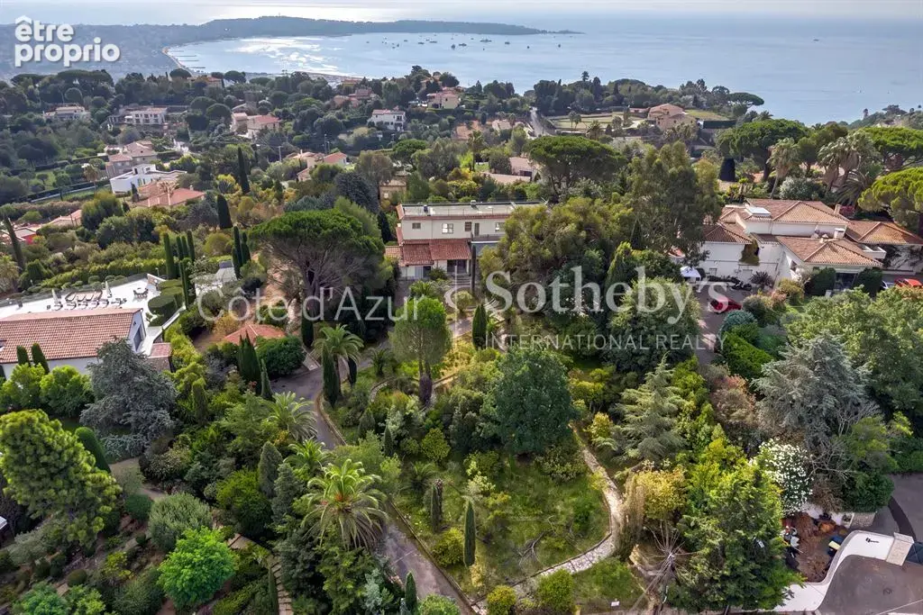 Super Cannes, terrain de 6 071 m² avec permis purgé pour deux villas vue mer - photo 6