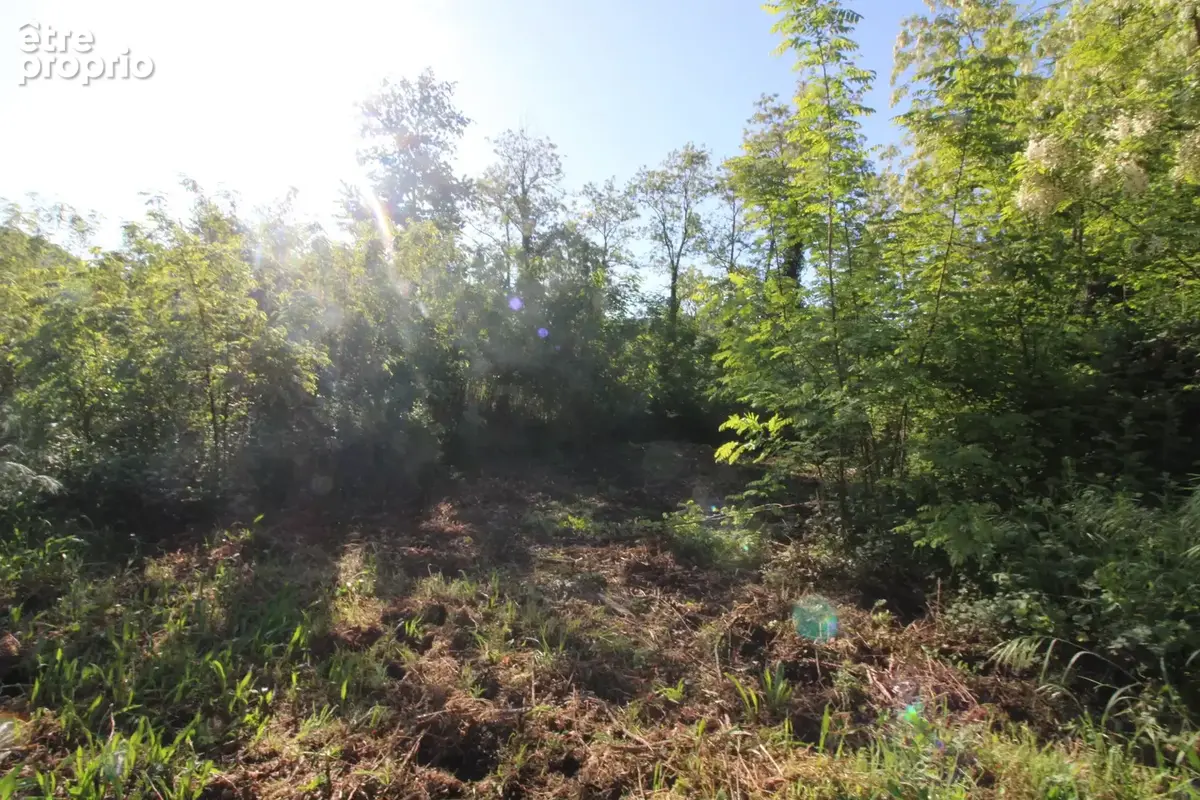 Bastide 1000 m2  sur 1.7 hectare ou plus - photo 150
