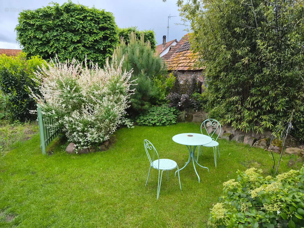 Maison à NIEDERROEDERN