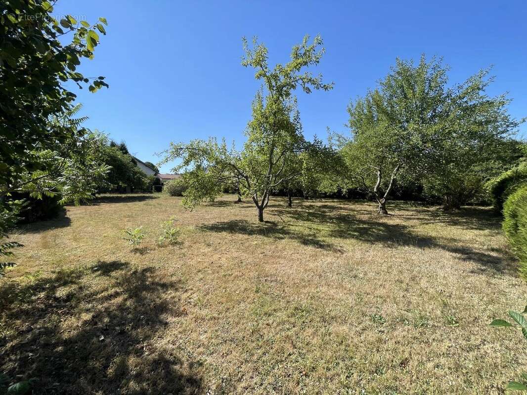 Vente Maison Thiaville-sur-meurthe(54120) 210 000ï¿œ - photo 6