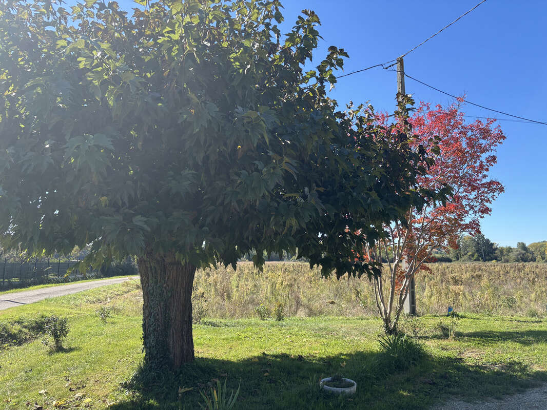 Maison à SAINTE-BAZEILLE