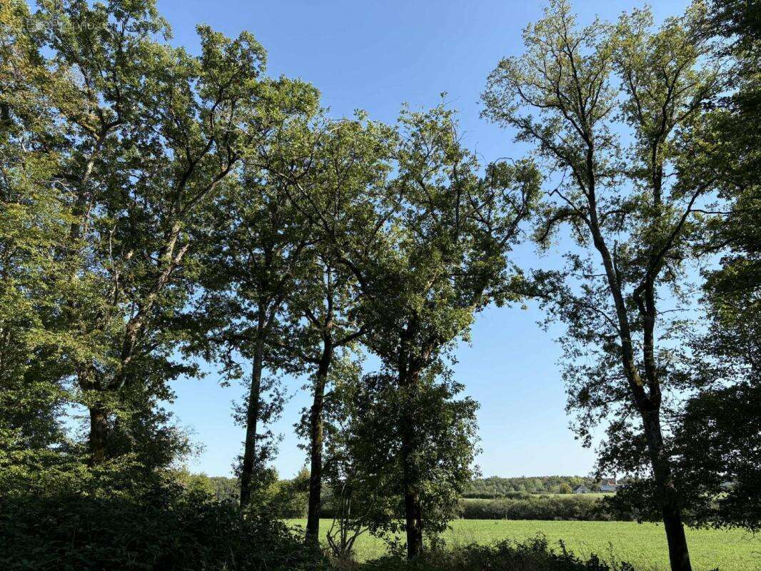 Terrain à CHATEAUROUX