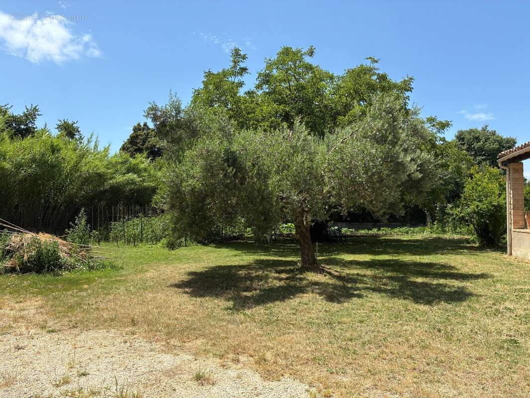 Maison 86 m² à Saint-Genies-De-Malgoires  - photo 3