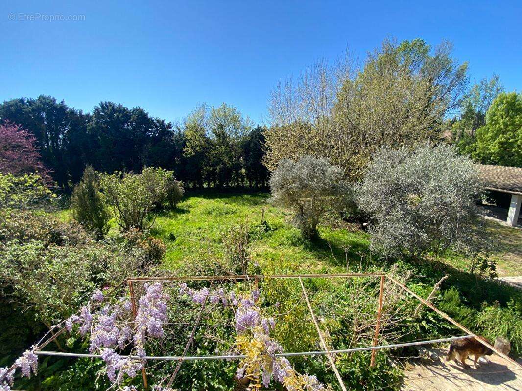 Villa Saint Remy De Provence 5 pièces 170m2 - photo 10