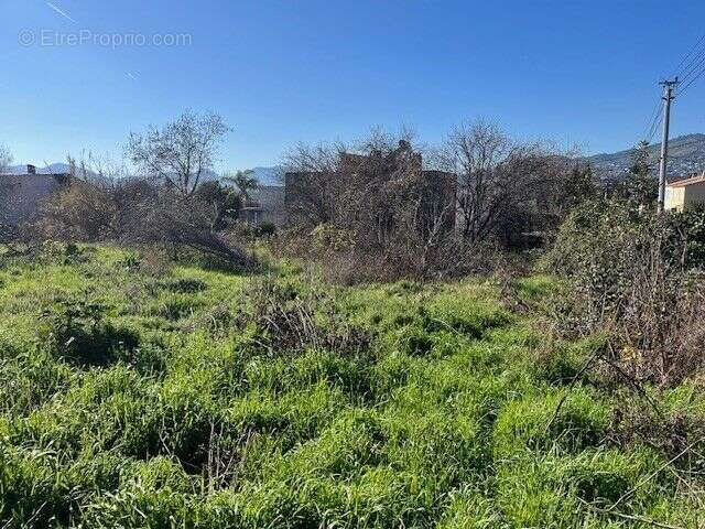 Terrain à CANNES