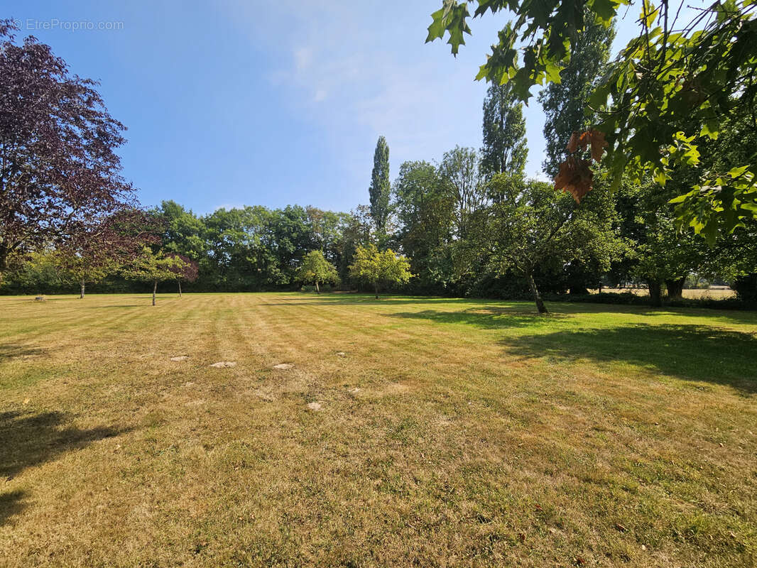 Proche de Cormeilles - photo 19