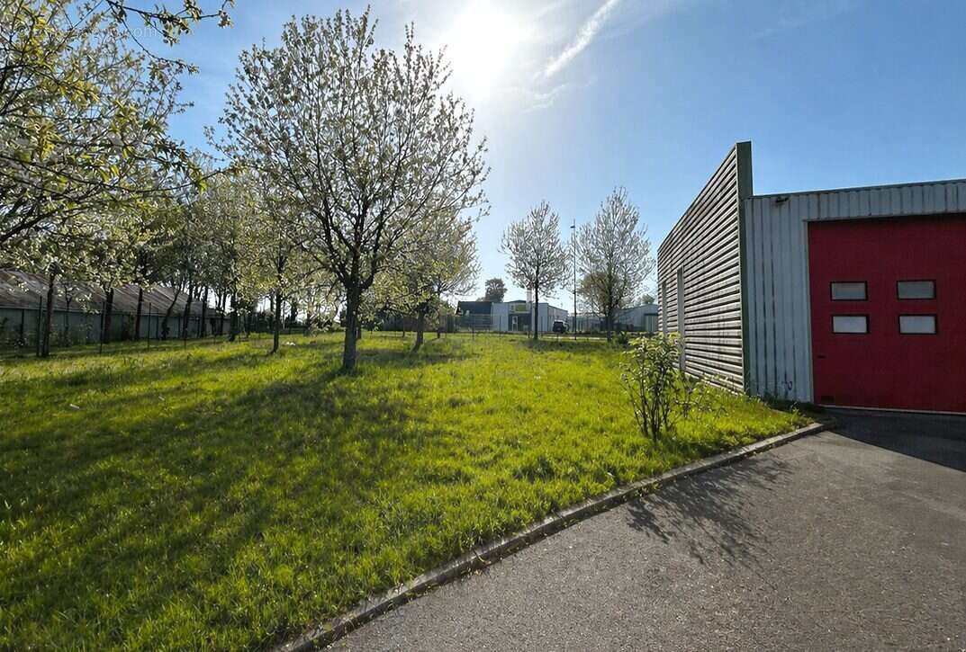 Commerce à QUESTEMBERT