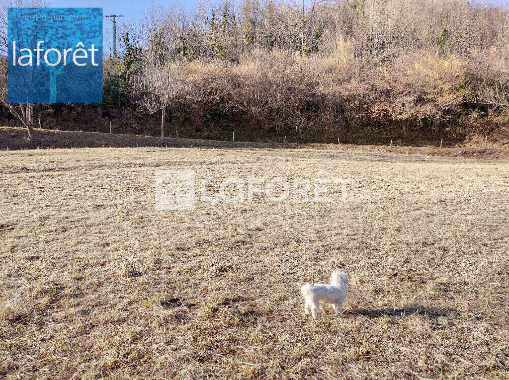 Terrain à PRATS-DE-MOLLO-LA-PRESTE