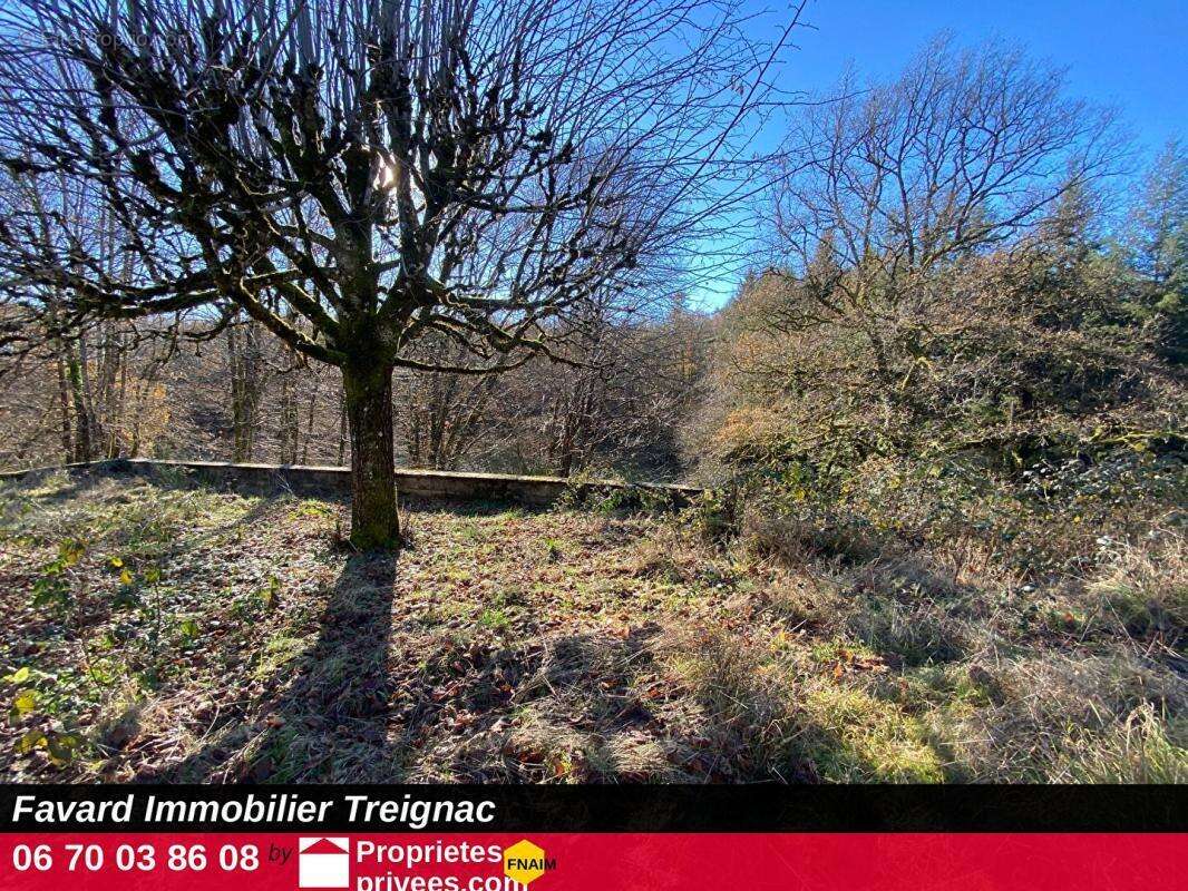 Maison de campagne avec dépendances et 5 882 m² de terrain - photo 13