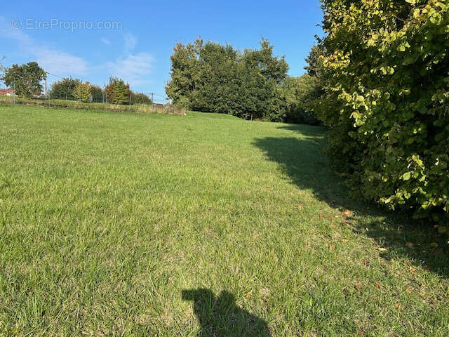 Terrain à MAIMBEVILLE