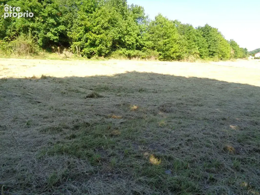 Saint Germain Laprade(43), terrain à bâtir de 658 m2 - photo 3