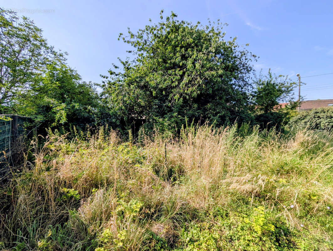 Terrain à bâtir de 249 m2 - photo 2