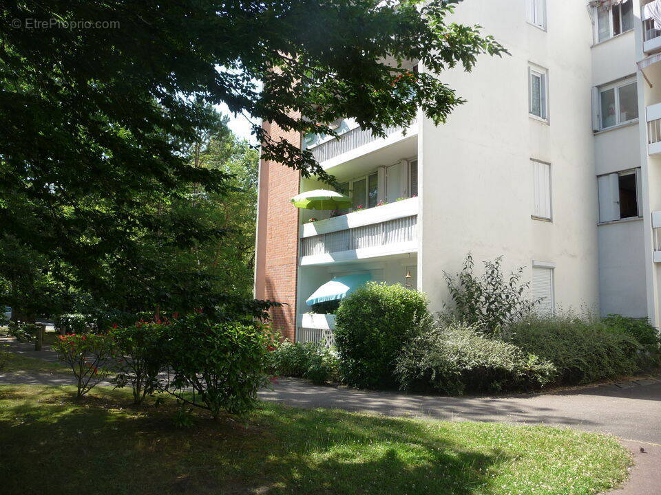 APPARTEMENT T3, ORLEANS, LA OSURCE, VENDU LOUÉ, PROCHE - Appartement à ORLEANS