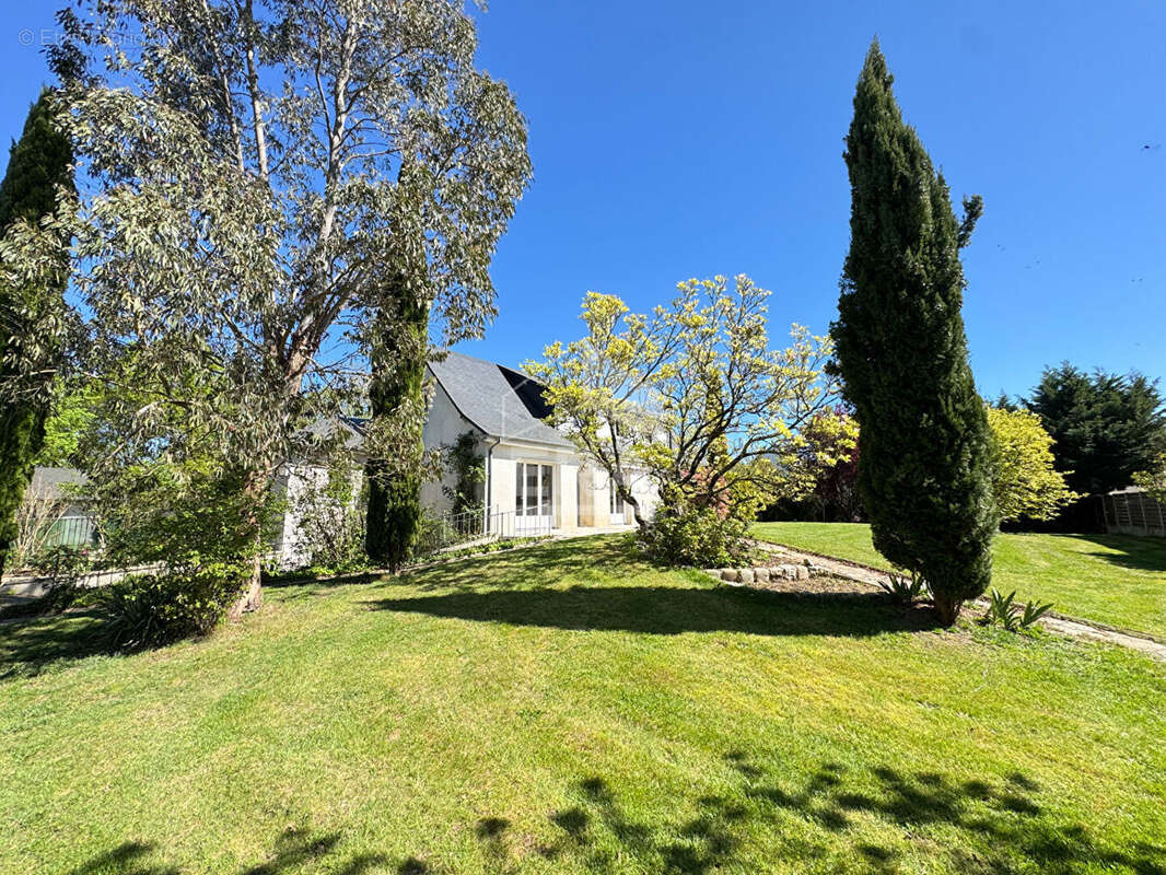 Maison 198m² à saint-pryvé-saint-mesmin - photo 2