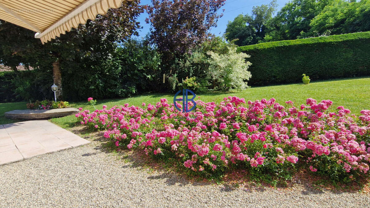 Maison à MONTALIEU-VERCIEU