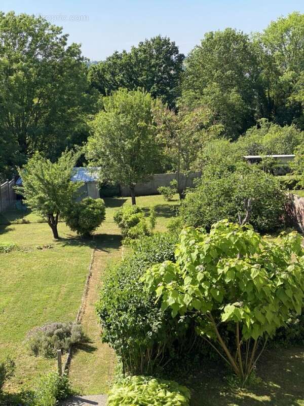 Jardin