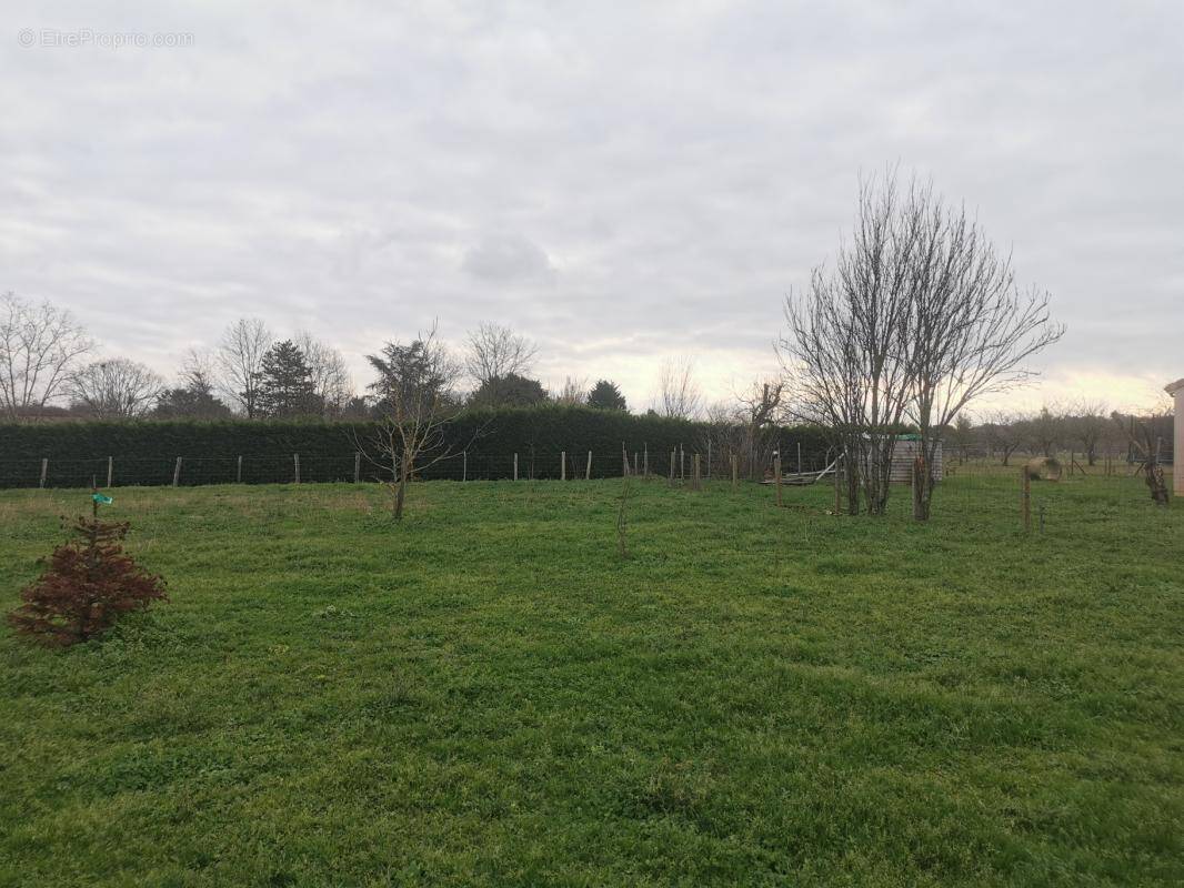 Terrain à SAINT-SEURIN-SUR-L'ISLE