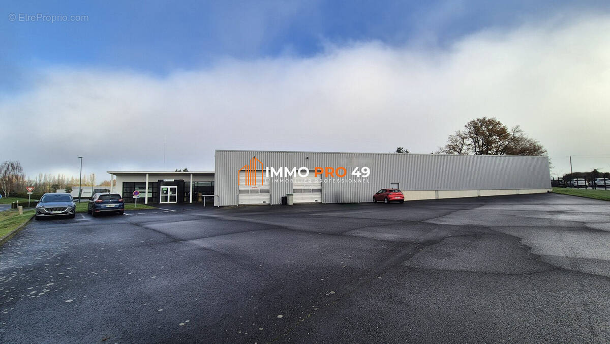 Commerce à MONTAIGU