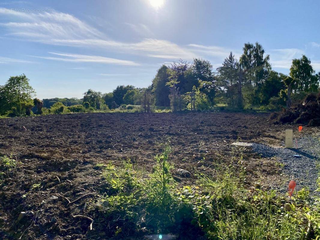 Terrain à DIVES-SUR-MER