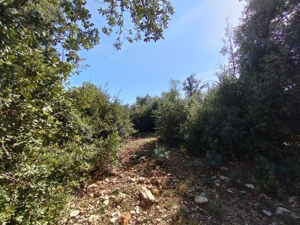 Terrain à ORGNAC-L&#039;AVEN