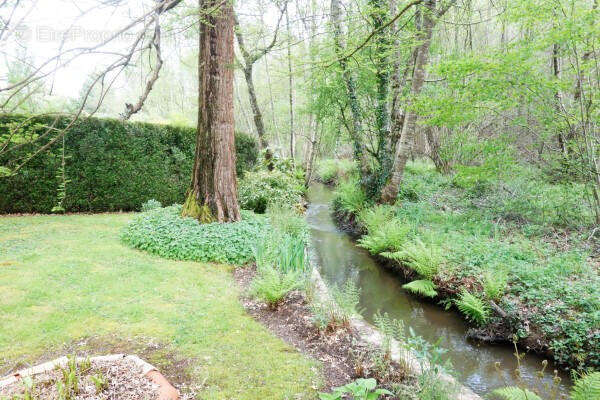 RUISSEAU - Maison à MASSIGNAC