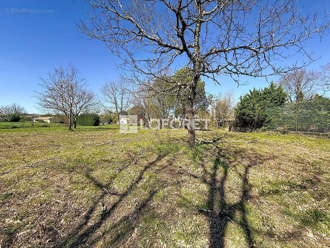 Terrain à VILLEMATIER