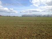 Terrain à SAINT-SYLVAIN