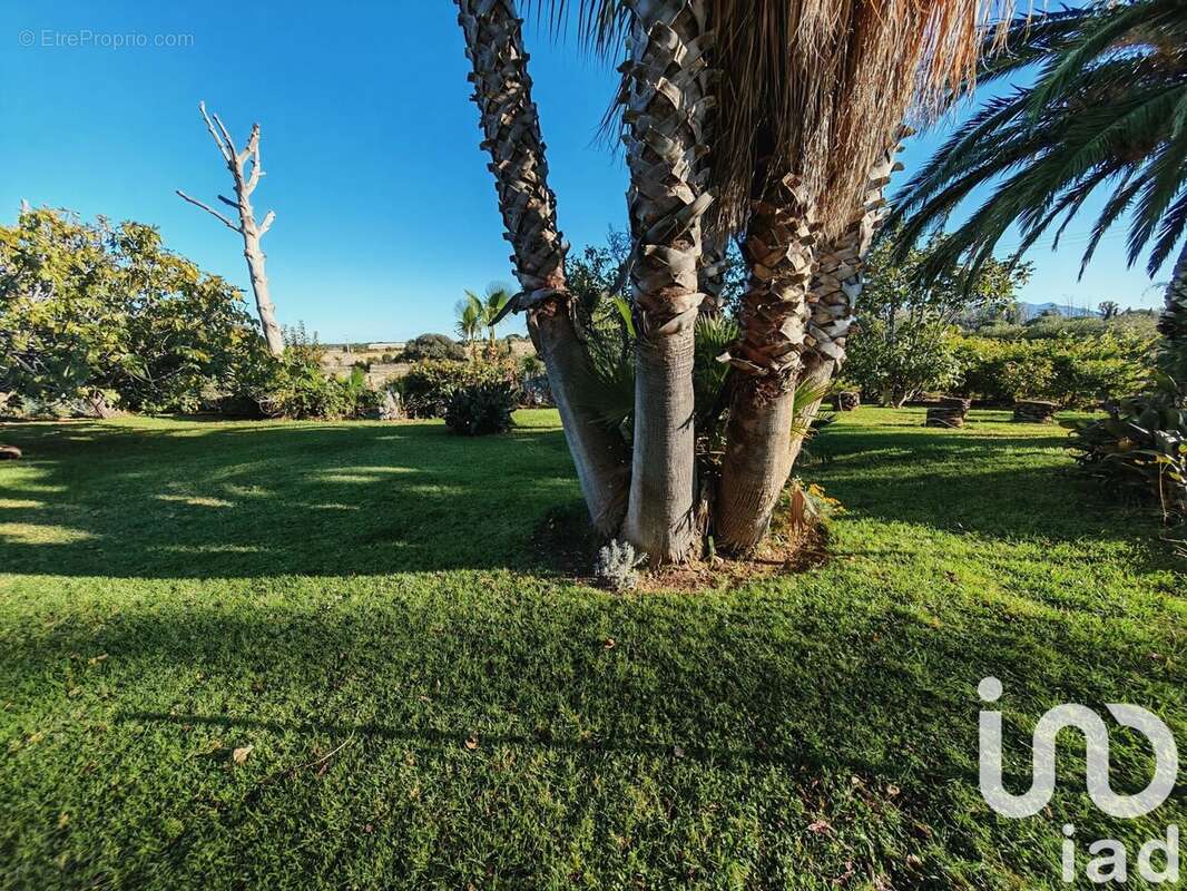 Photo 9 - Maison à PERPIGNAN