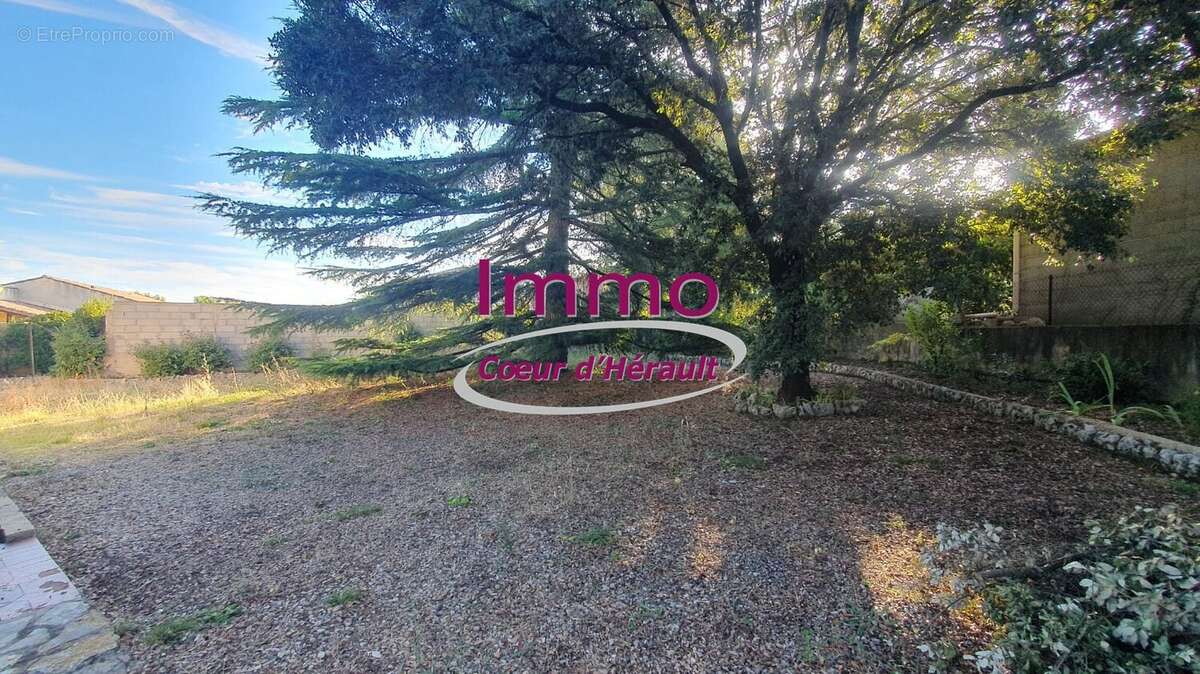 Maison à MONTARNAUD