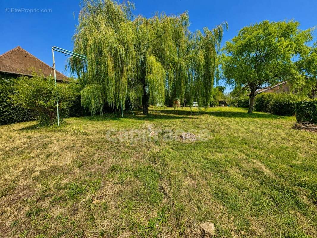 Maison à vendre à OUCHES 4 chambres 128m2 sur 2524m2 de terrain - dependance de 45m2 au sol - photo 12