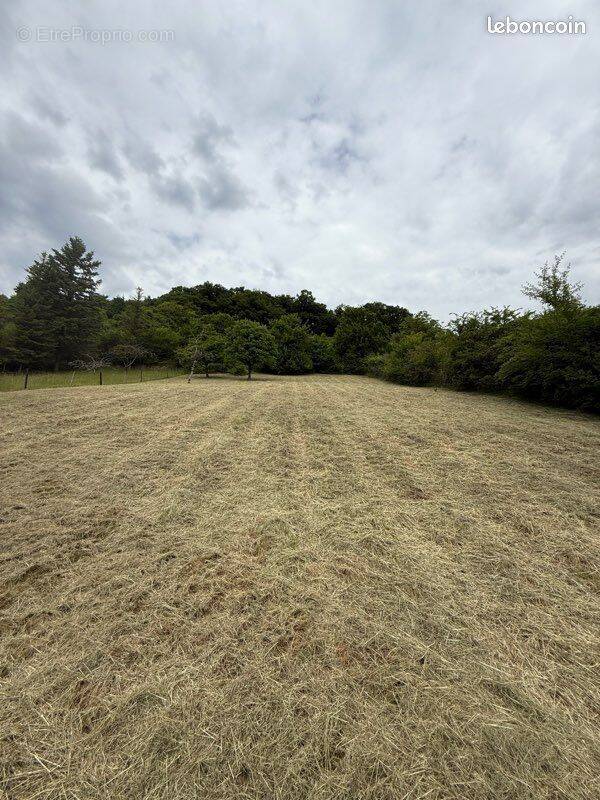 Terrain à PREMERY