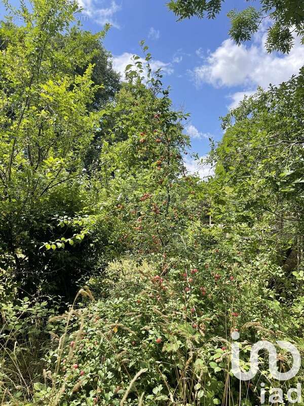 Photo 8 - Maison à MENOU