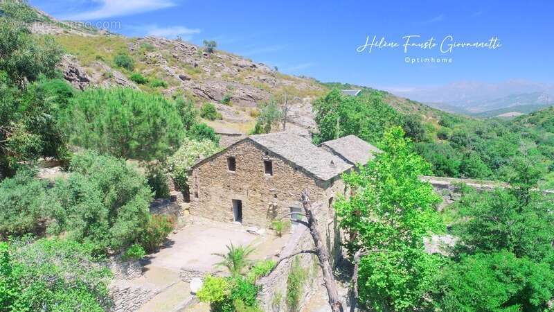 Ancien Moulin en Pierre avec dépendances sur près de 2,3 hectares – Santo-Pietro-di-Tenda - photo 41