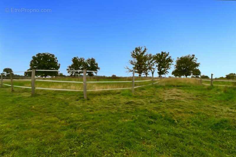 Maison à VALLON-EN-SULLY