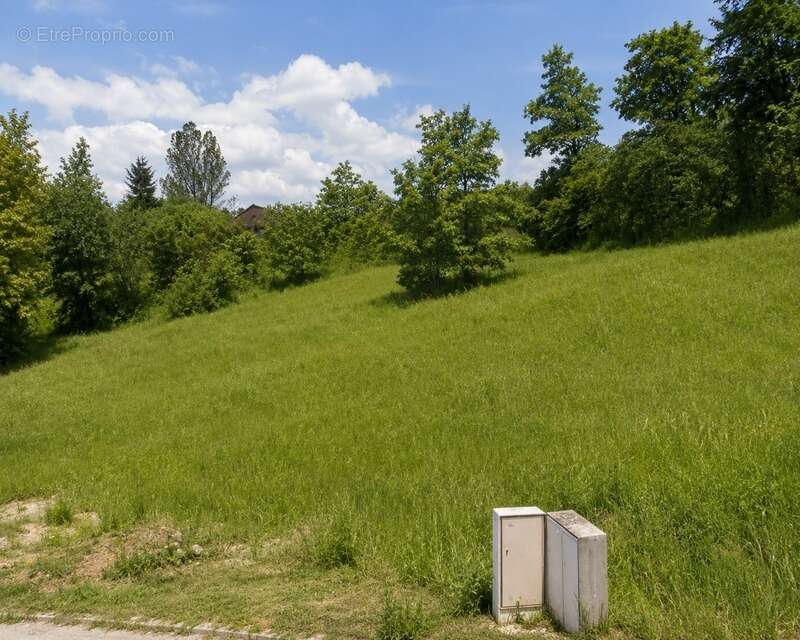 Terrain constructible 1 260 m² – Vue dégagée – Belpech (11420) - photo 2