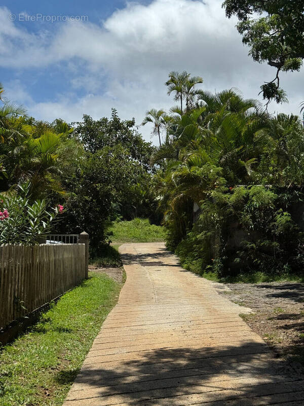 Terrain à SAINT-DENIS