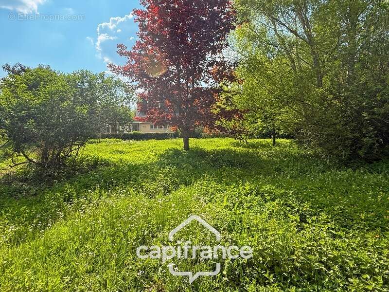 Maison de caractère – 321 m² habitables – Parc arboré – Secteur recherché - photo 14